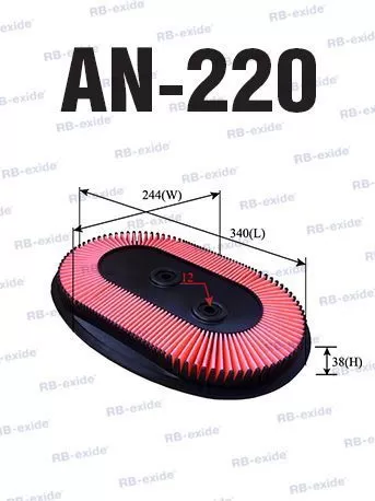 AN220