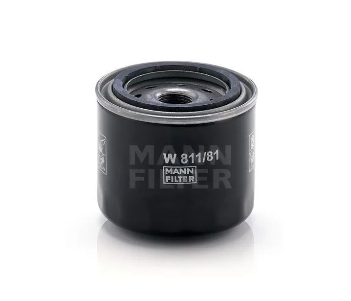 W81181