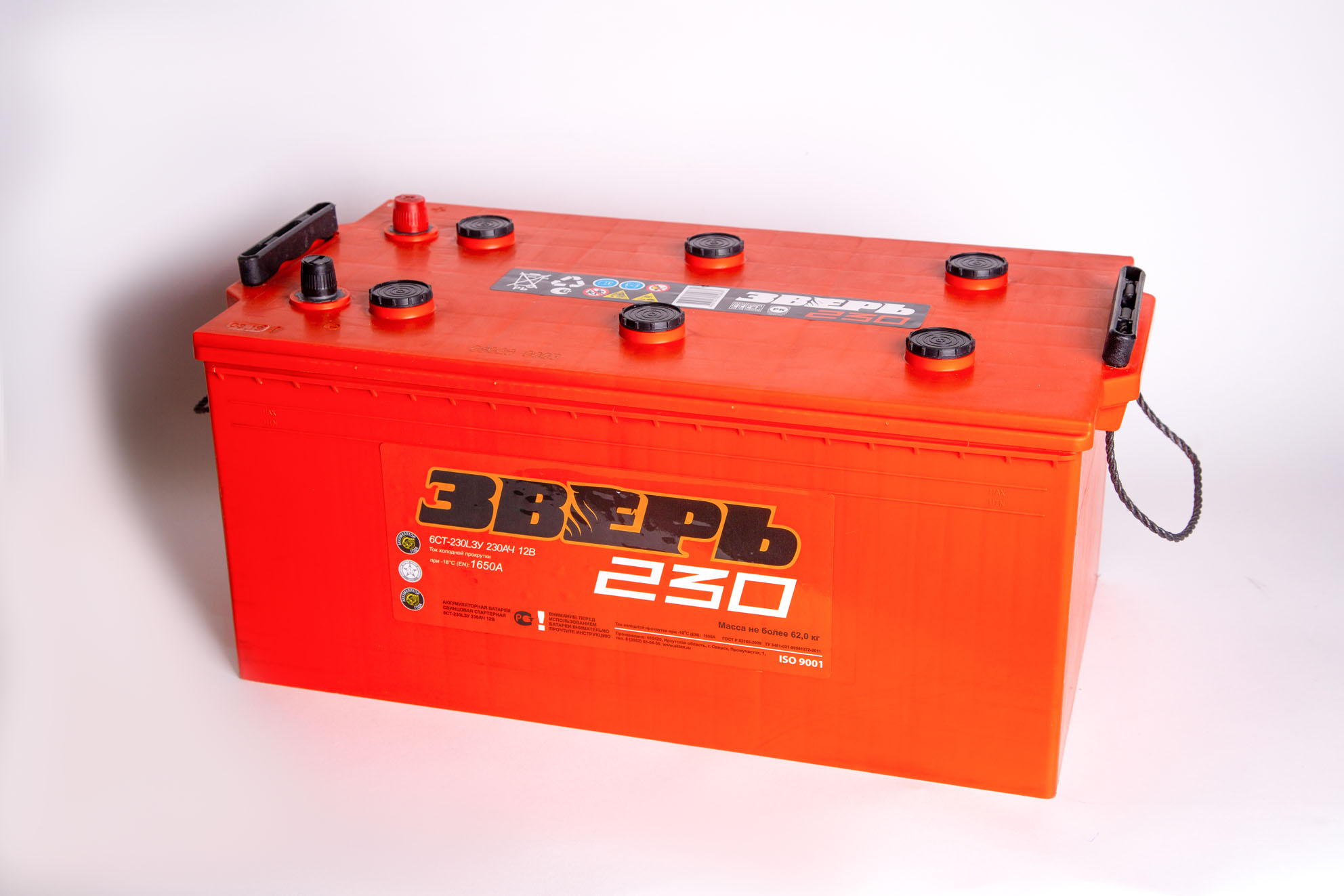 230_zver